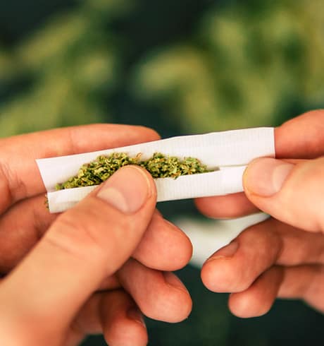 cannabis in rolling paper being held